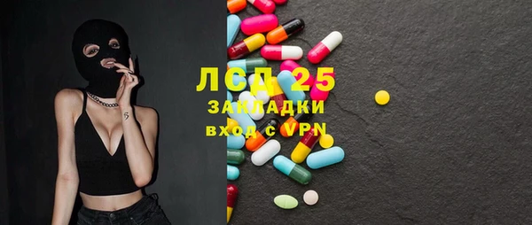 мяу мяу кристалл Ельня