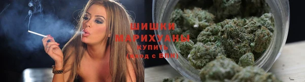 стаф Елизово