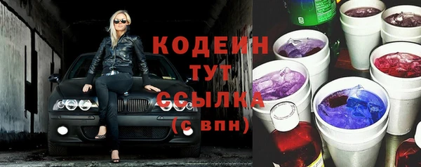 стаф Елизово